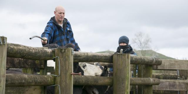 image of couple working in cattle yards