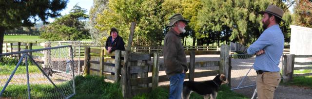 image of three farmers in the yard 