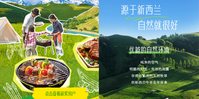 taste pure nature TPN kitchen banner