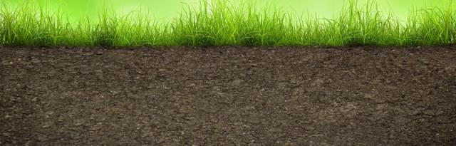 Grass and soil