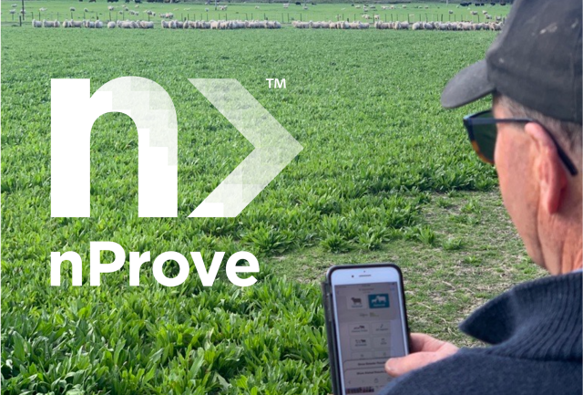 image of man using nprove app on phone