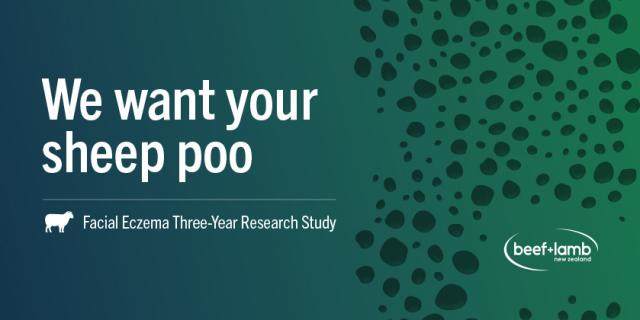website banner for sheep poo study