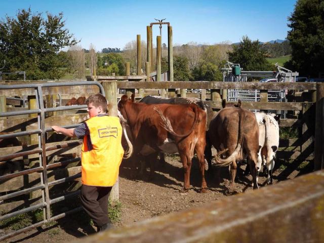 Open farms