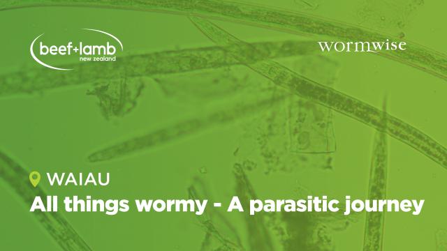 event banner for all things wormy workshop