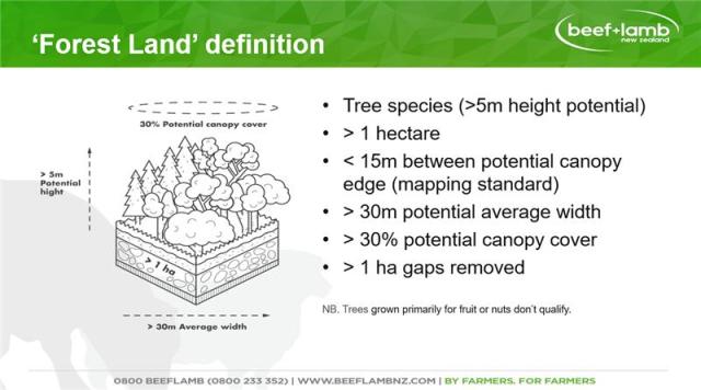image of forest land definition