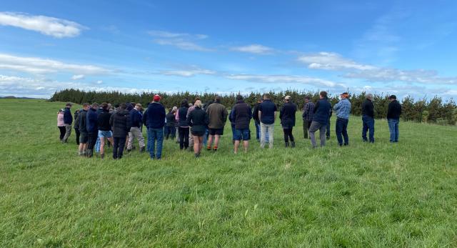 image of Hogget Group action group on farm
