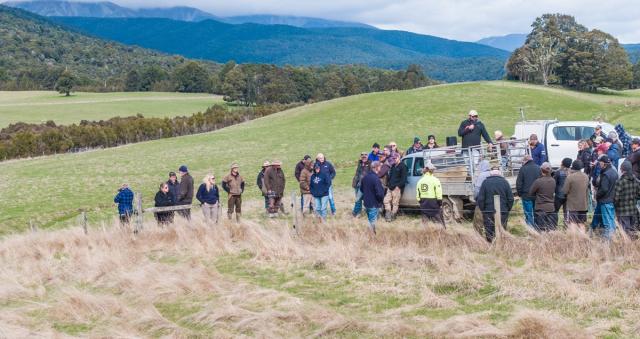 F4P Field Day in St Arnaud