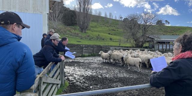 image of group learning looking at drenching in a yard