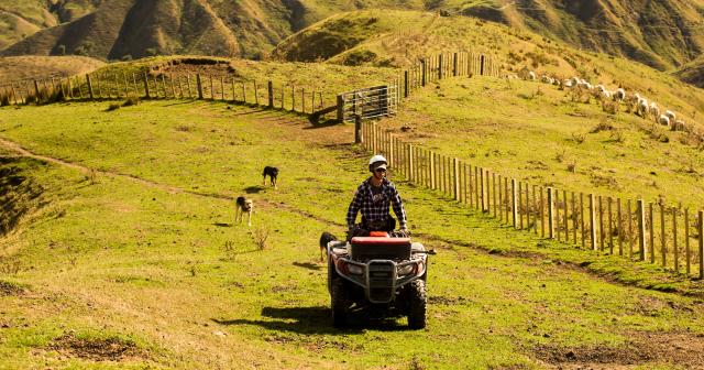 image of farmer on quad driving over dry hills