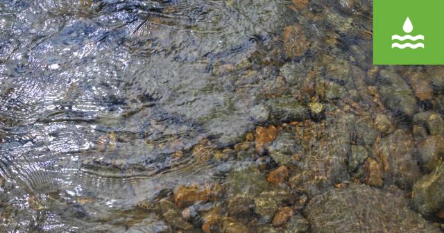 Freshwater