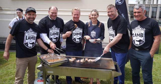 image of MPs and B+LNZ representatives at BBQ