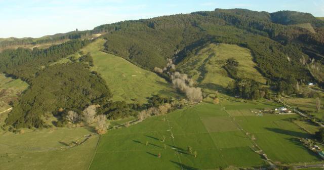 image of a NZ farm and forestry