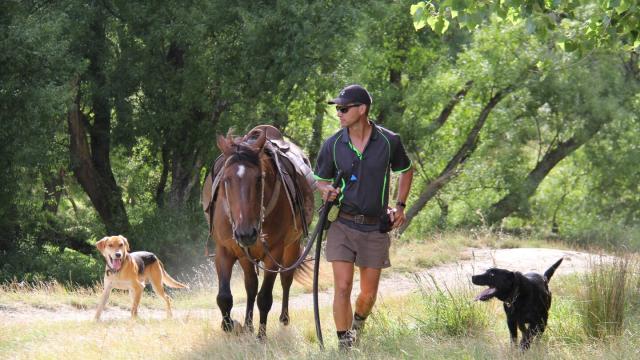 image of Andrew Stewart with horse and dogs