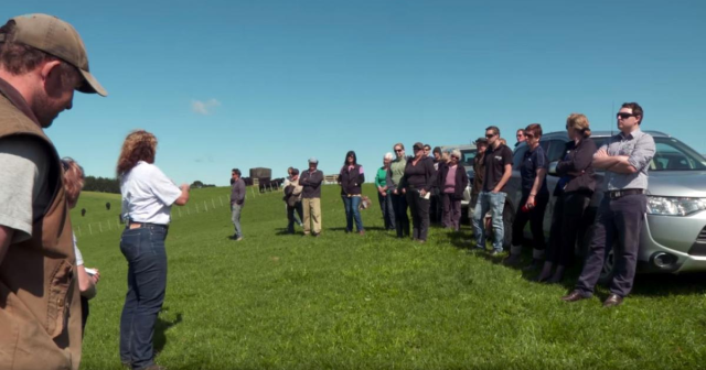 image of field day in Wairoa