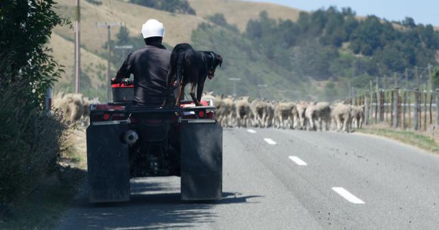 image of farmer on bike on nz rural road
