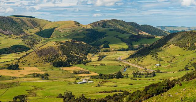 image of farms from bird's eye view in New Zealand