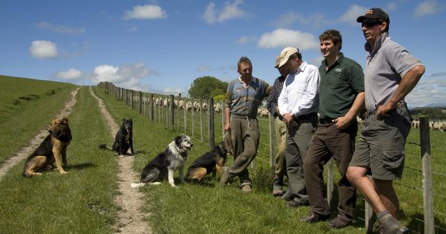 image of males standing by fence with three dogs