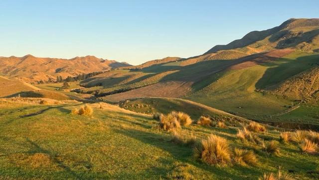 Marlborough farming for profit