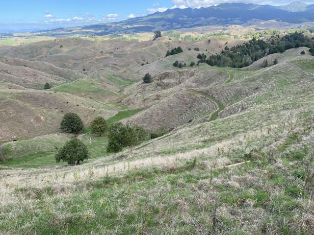 image of Te Pahu monitor farm