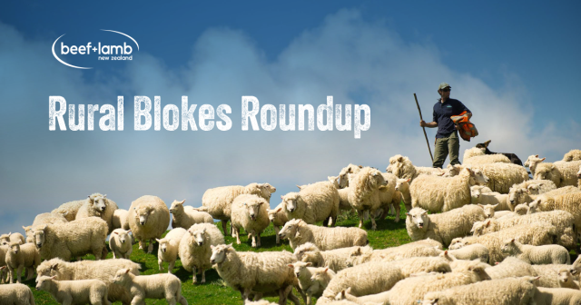 image of rural bokes roundup banner B+LNZ