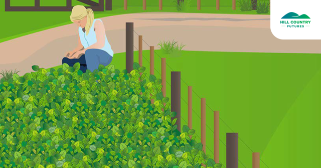 image of female farmer tending to forages