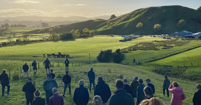 image of Wairarapa field day with attendees on farm