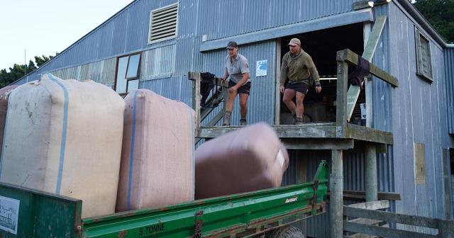 image of two young farmers moving wool into barrels