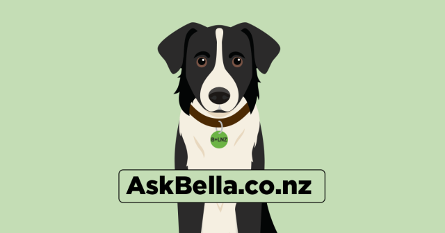 image of Bella the AI assistant dog and ask Bella web address