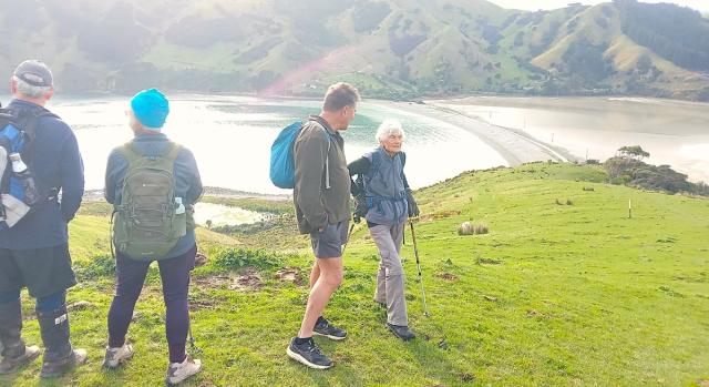 Cable bay walkers
