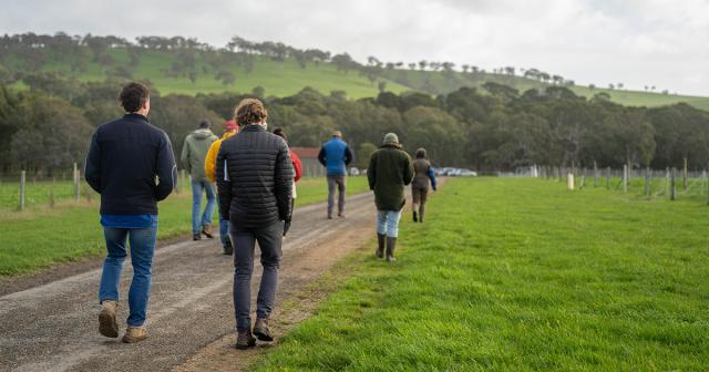 image of farmers walking on farm as part of field day