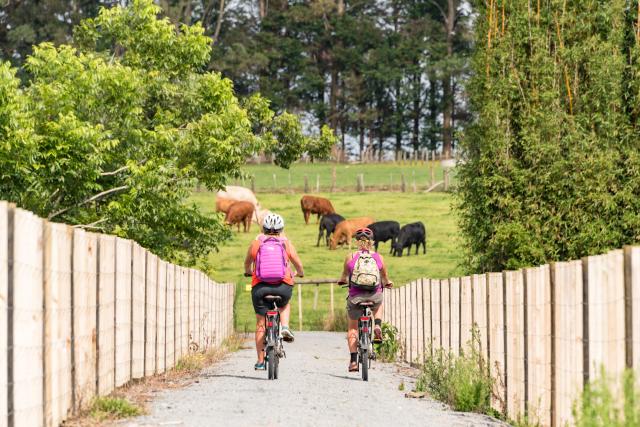 image of two female cyclists heading towards farmland with cows