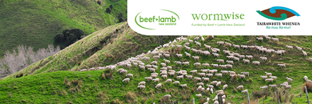 Wormwise in action field day