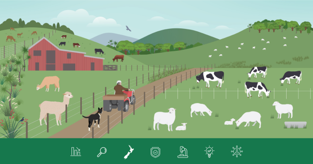 Image of illustrated farm scene