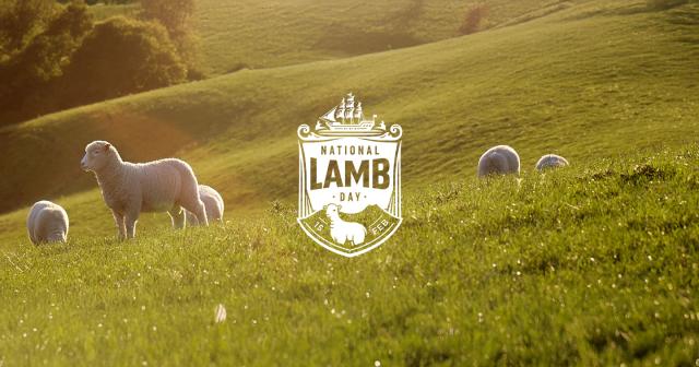 image of sheep and lambs on summer lit farm with National Lamb logo