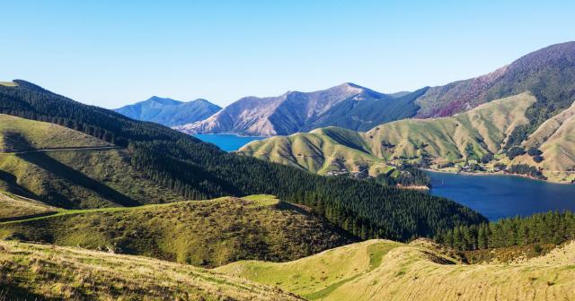 bird's eye view of farm, pine trees and bright blue sea
