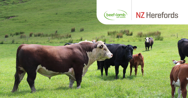 event banner for power of cow with logos on top