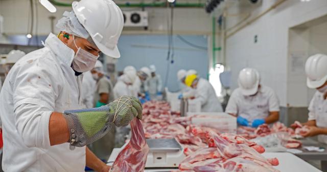 image of red meat exports being sorted 
