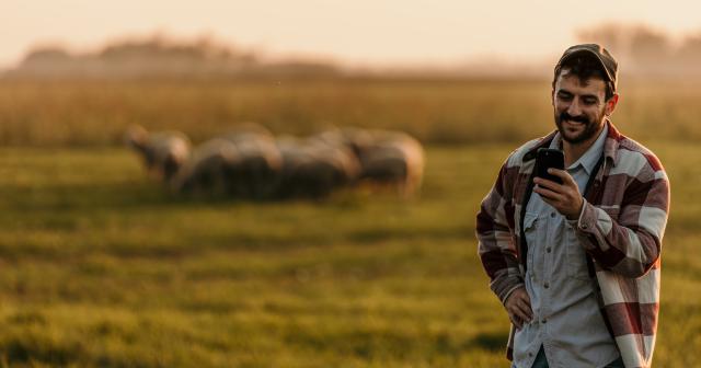 image of farmer calling for  support infront of flock 