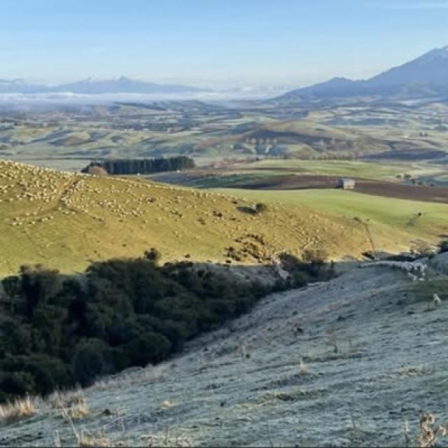 image of the Birchwood farm aerial view 