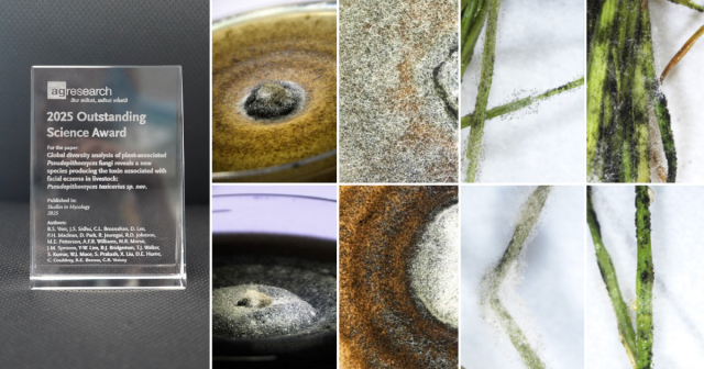 Practical learnings from the EFEI Programme