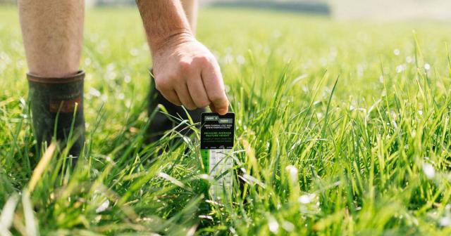Image of male farmer using B+LNZ sward stick to test pasture