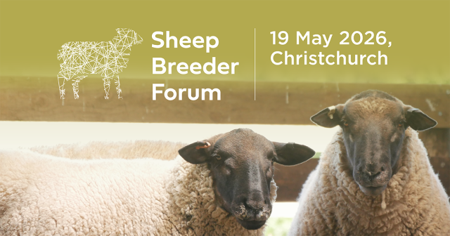 Sheep breeder banner