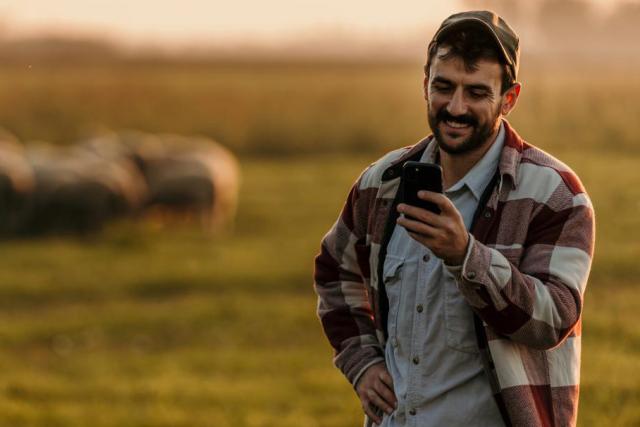 image of farmer using cellphone with flock of sheep in background