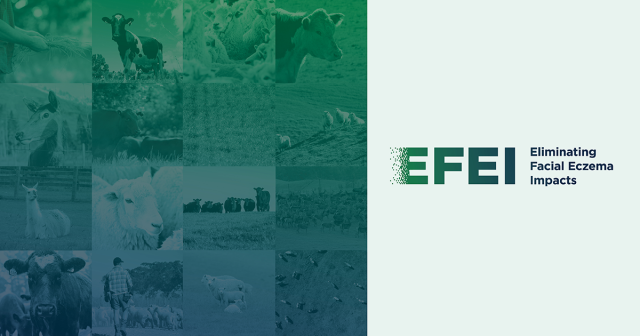 EFEI web banner - High res