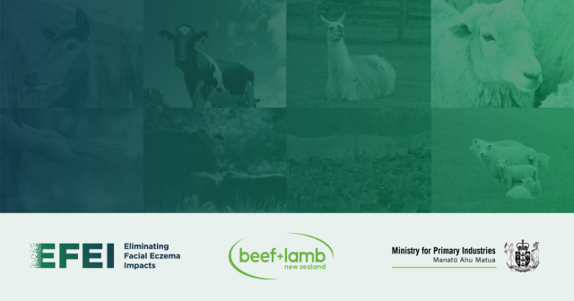 EFEI banner - High res