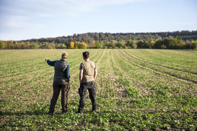 image of two farmers discussing pasture