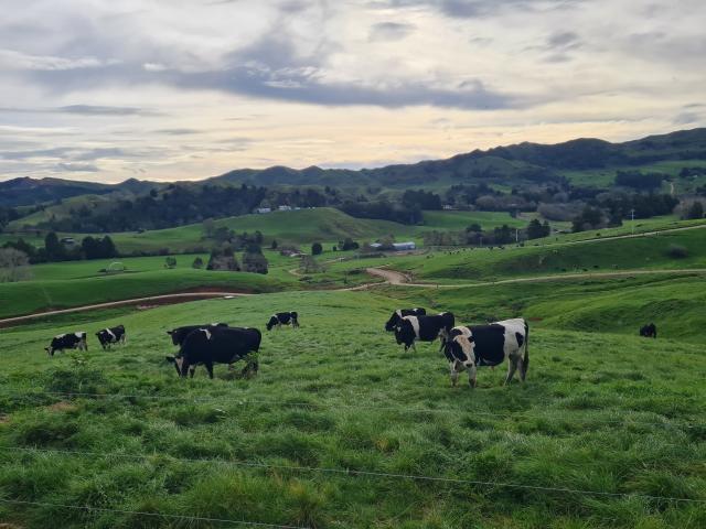 Te Pahu Monitor Farm