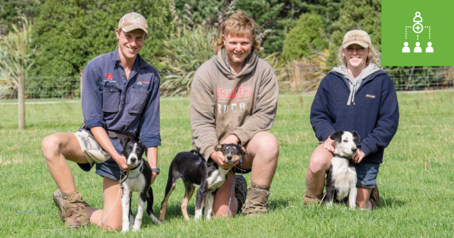 image of three young farmers with their dogs