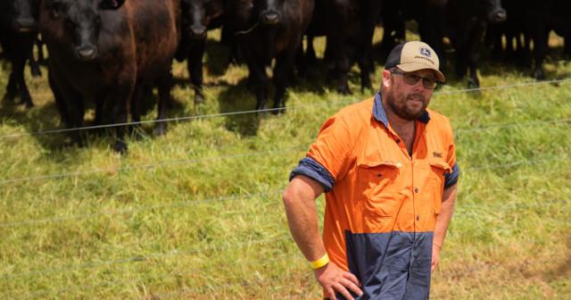 image of Ben Fahey on farm infront of cattle