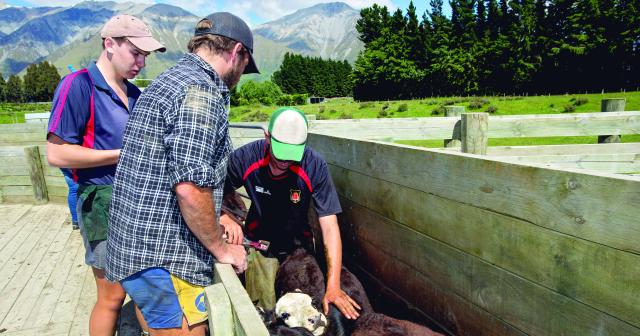 image of three farmers in the yard